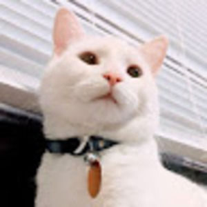 Meet your Posher, Joseph